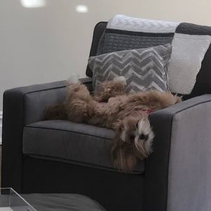 Meet your Posher, Gary